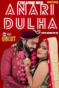 Anari Dulha (2024) Hindi Short Film