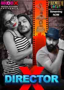 Director X (2024) Hindi Web Series