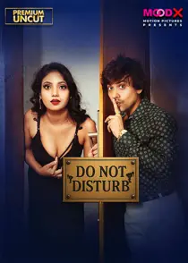 Do Not Disturb BTS (2025) Hindi Web Series