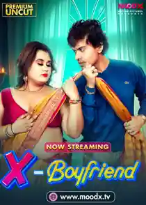 Ex Boyfriend (2025) Hindi Web Series