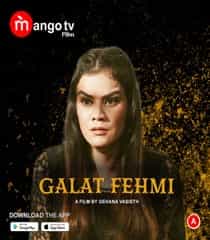 Galat Fehmi (2022) Hindi Web Series