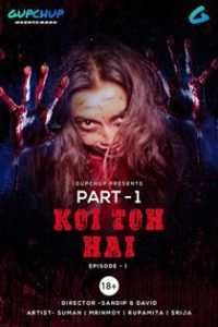Koi Toh Hai (2020) Hindi Web Series