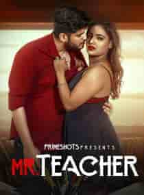 Mr Teacher (2023) Hindi Web Series