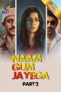 Naam Gum Jayega (2024) Part 2 Hindi Web Series