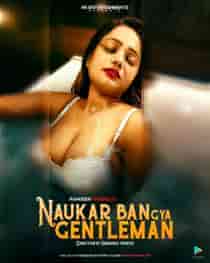 Naukar Ban Gya Gentleman (2023) Hindi Web Series
