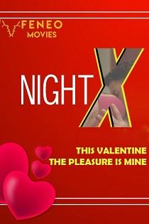 Night X (2020) Feneo Original Web Series