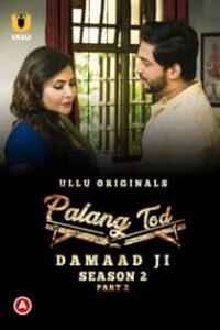 P4lang Tod Damaad Ji (2022) S02 Part 2 Complete Hindi Web Series