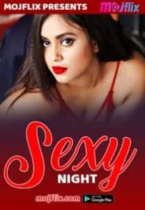 Sexy Night (2022) Hindi Short Film