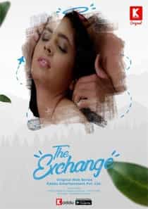 The Exchange (2023) Hindi Web Series